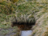 DSC_1320