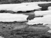 DSC_7719