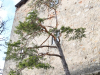 Hrad Buchlov