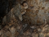 Kateřinské jeskyně